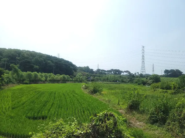 충청남도 당진시 송악읍 고대리 토지