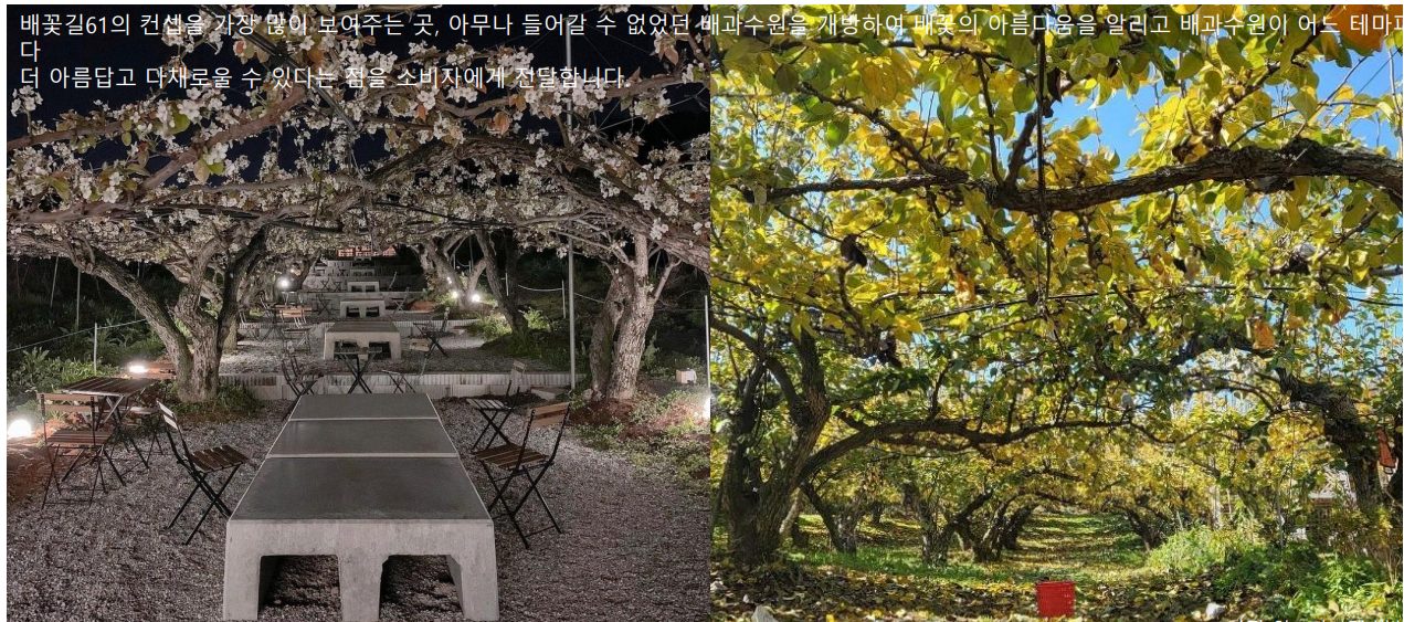 안성시 대덕면 토지/임야 매매, 대지 2,646평 2