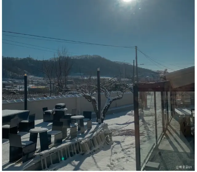 안성시 대덕면 모산리 토지