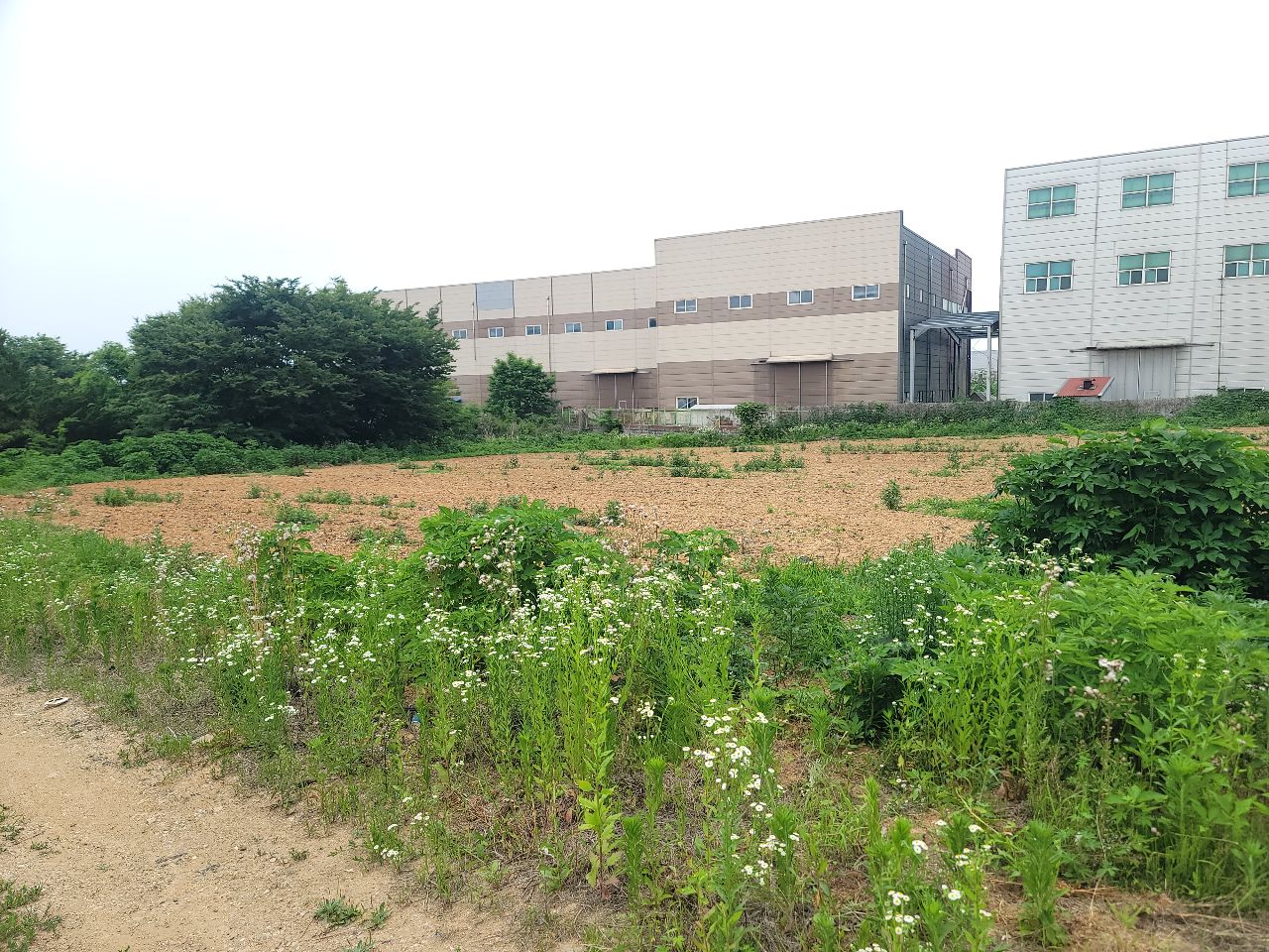 평택시 청북읍 고렴리 토지