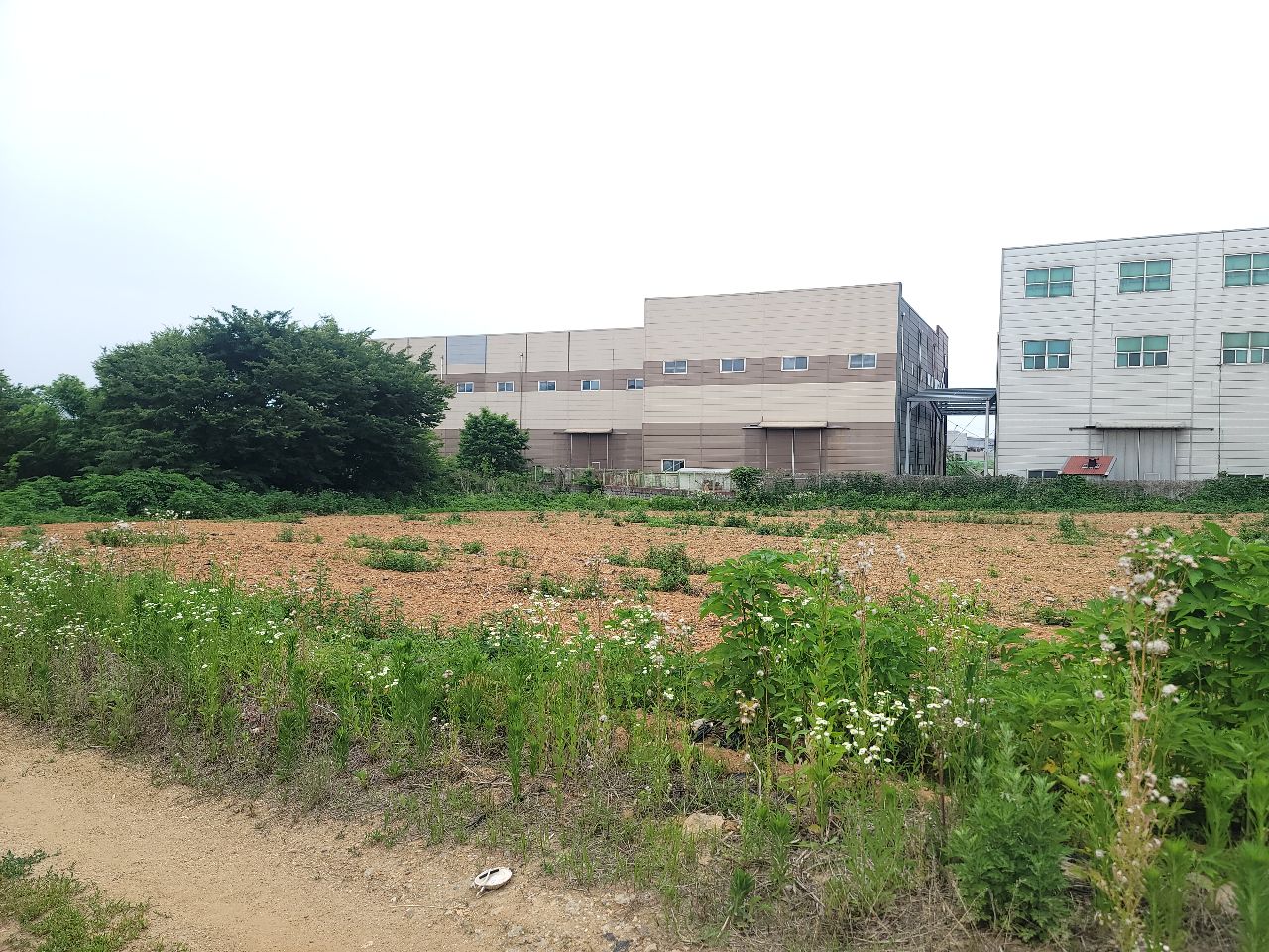평택시 청북읍 토지/임야 매매, 대지 956평 3