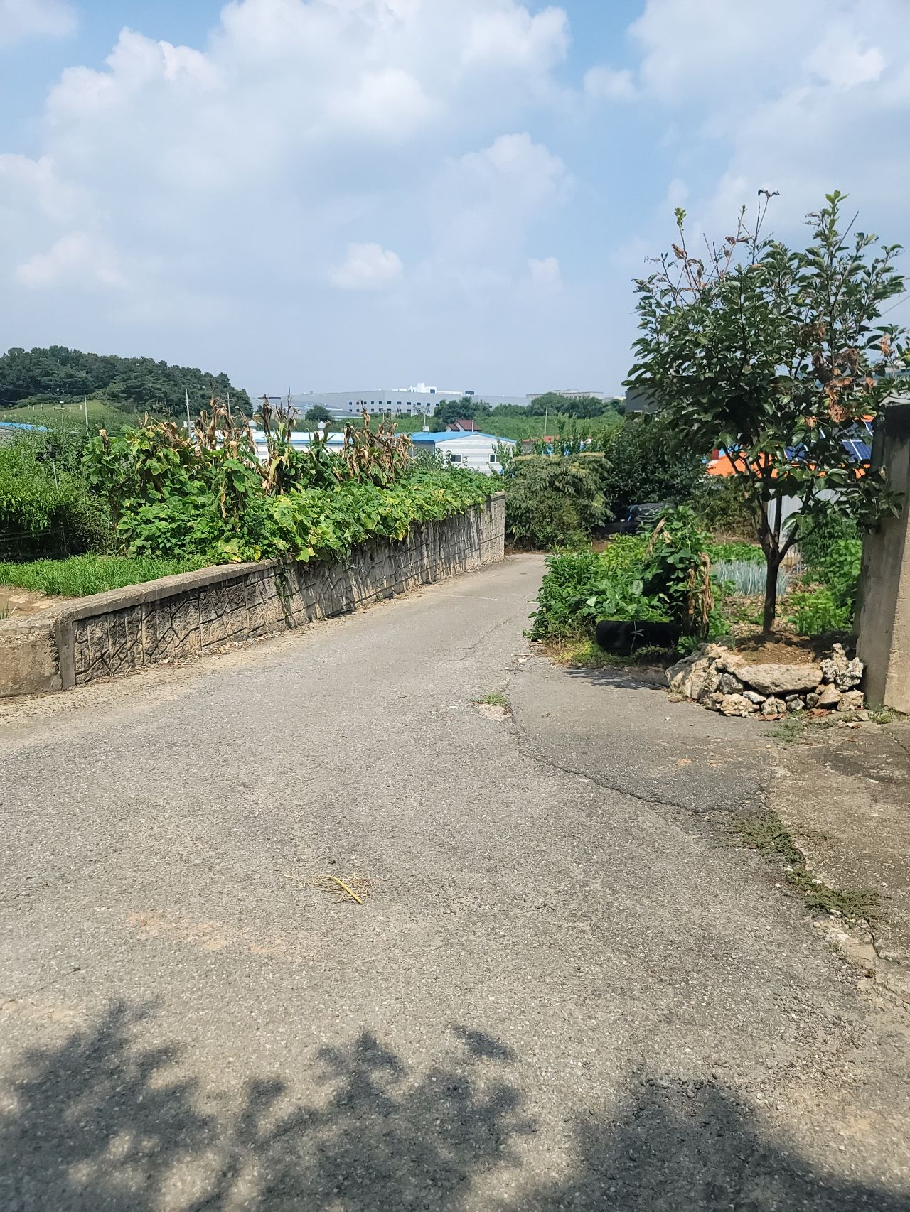 화성시 효행구 정남면 덕절리 토지