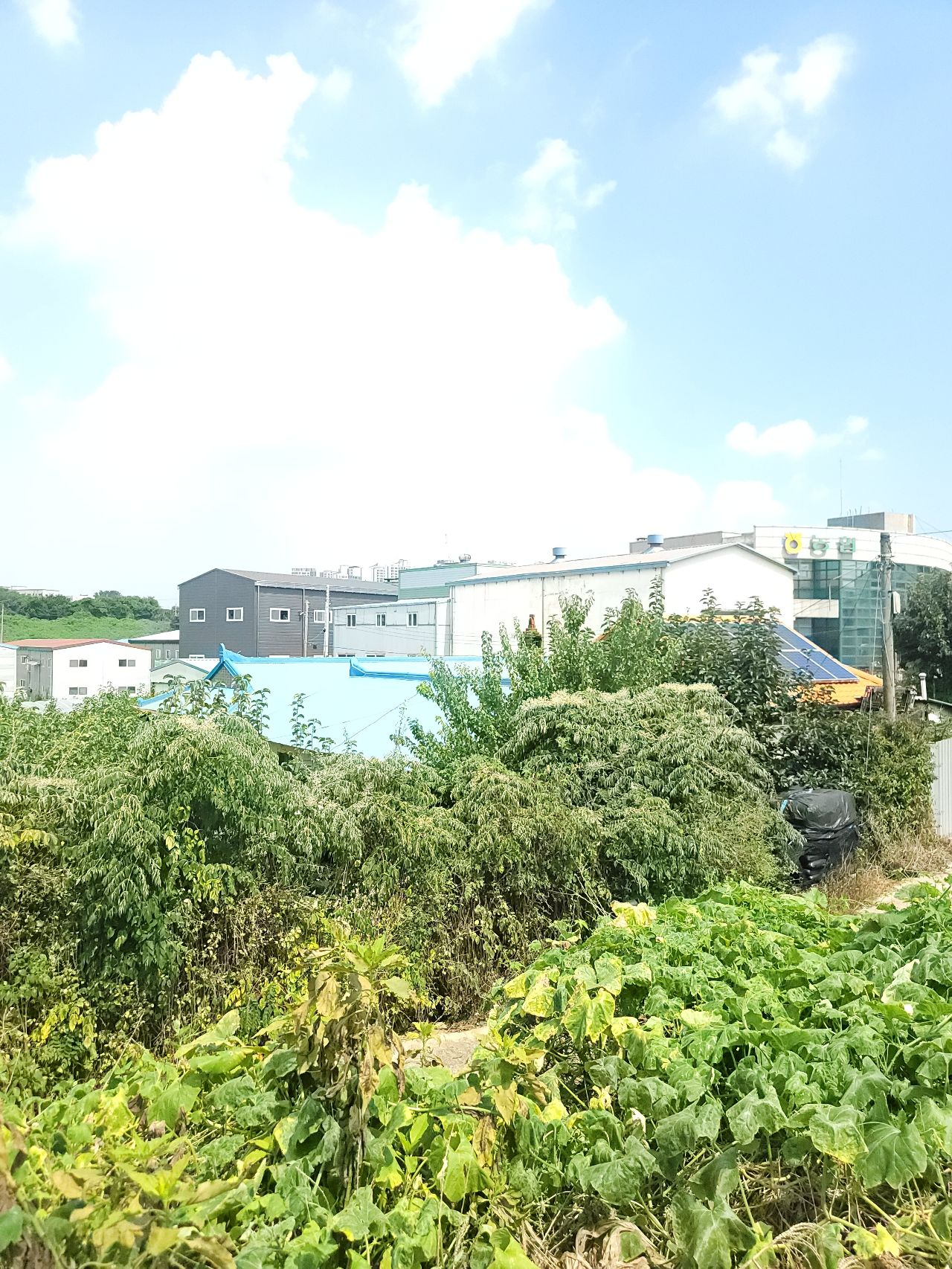화성시 효행구 정남면 토지/임야 매매, 대지 1,385평 2