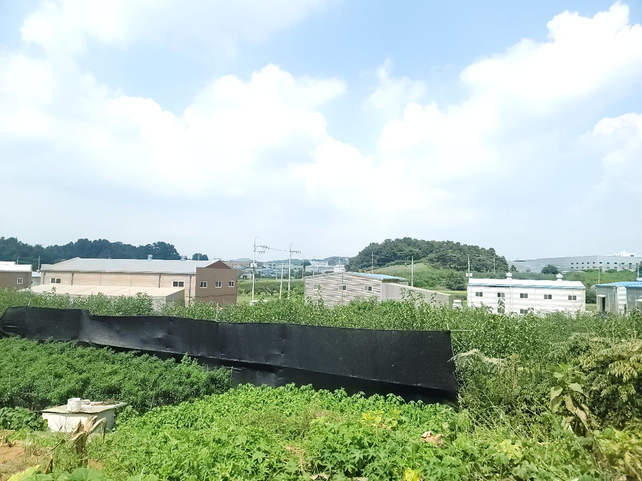 화성시 효행구 정남면 토지/임야 매매, 대지 1,385평 3