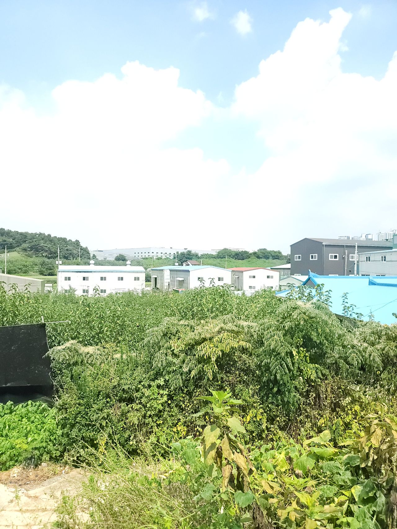 화성시 효행구 정남면 덕절리 토지