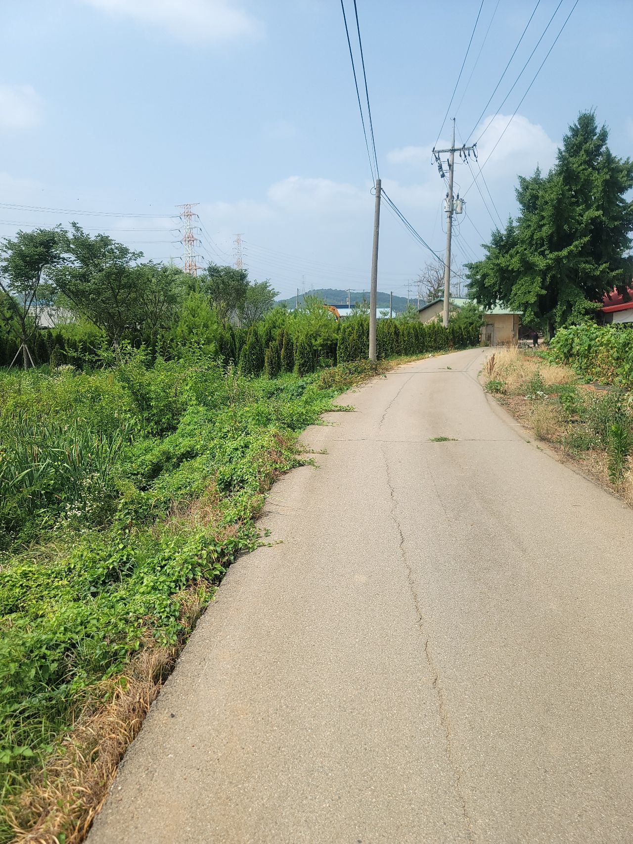 당진시 송악읍 토지/임야 매매, 대지 482평 5