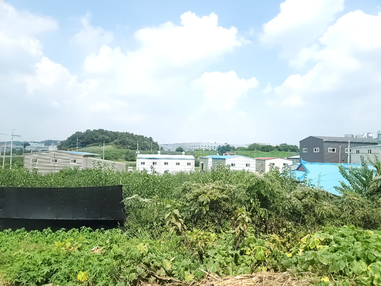 화성시 효행구 정남면 토지/임야 매매, 대지 1,385평 5