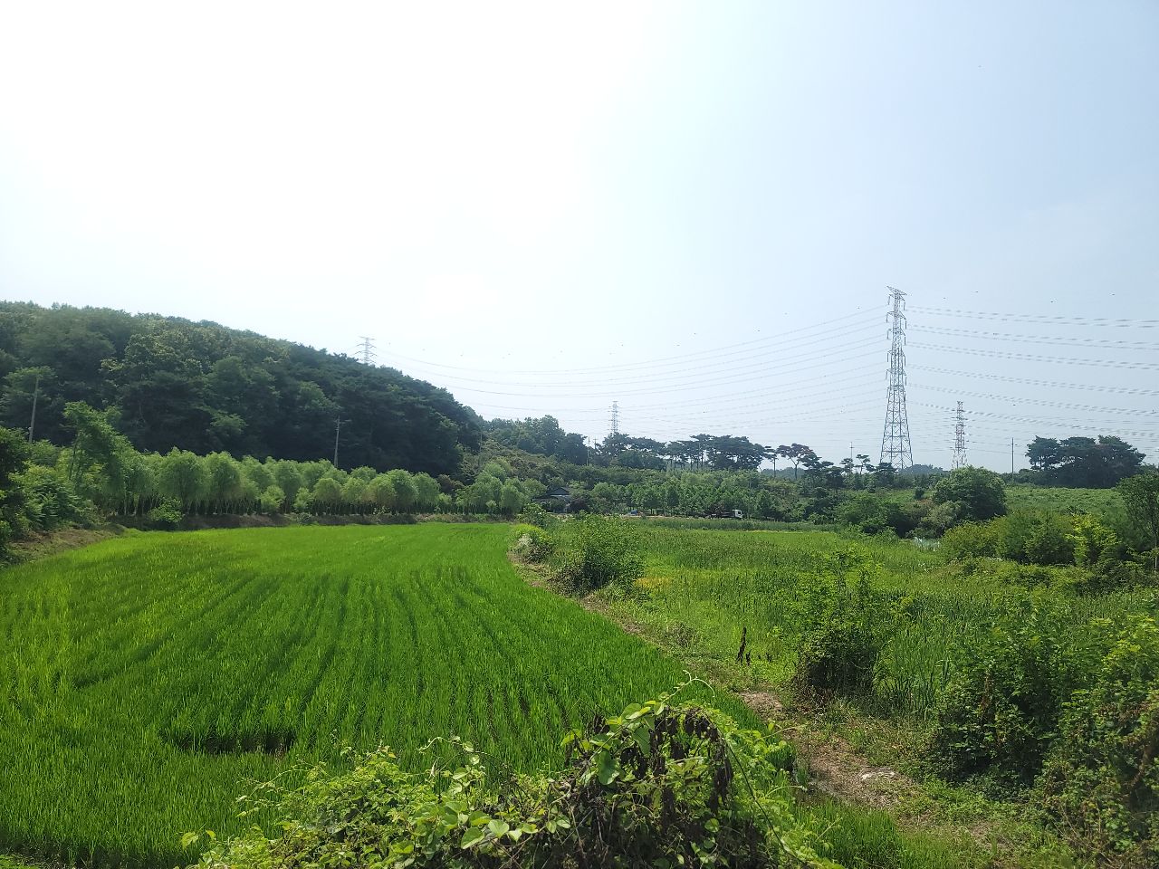 충청남도 당진시 송악읍 고대리 토지