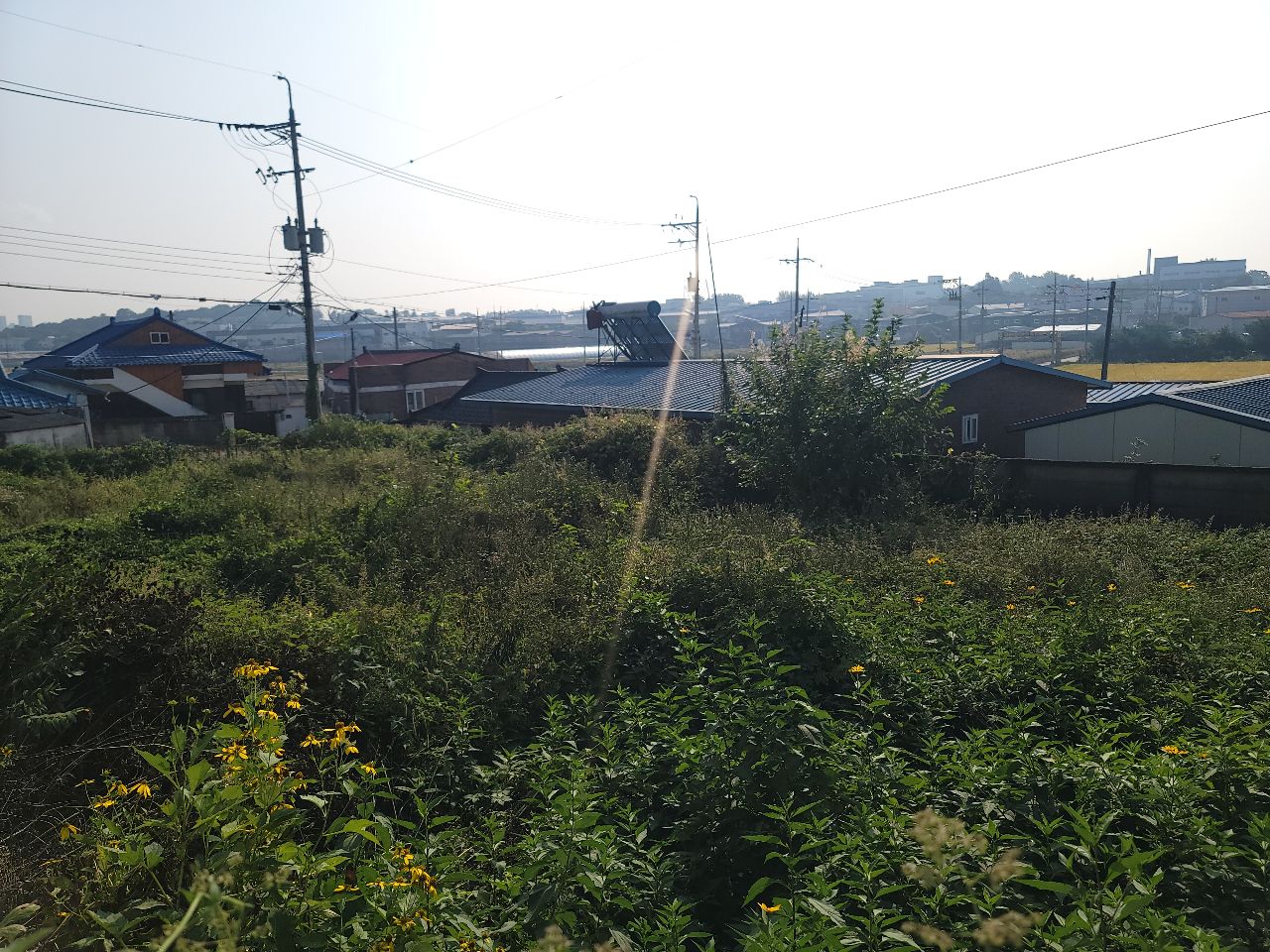 화성시 효행구 정남면 토지/임야 매매, 대지 269평 3